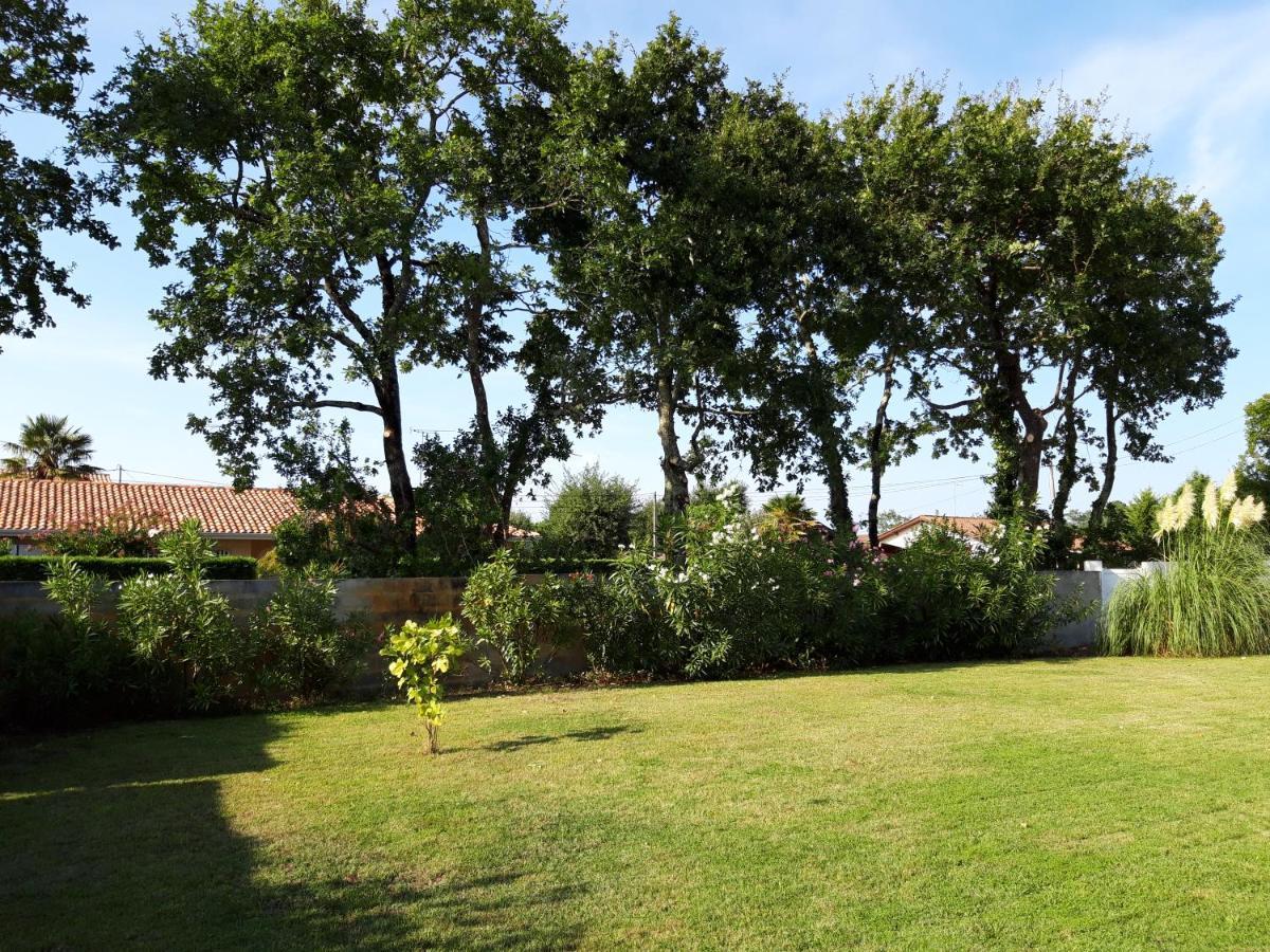 Agreable Maison Sur Le Bassin D'Arcachon Andernos-les-Bains Ngoại thất bức ảnh